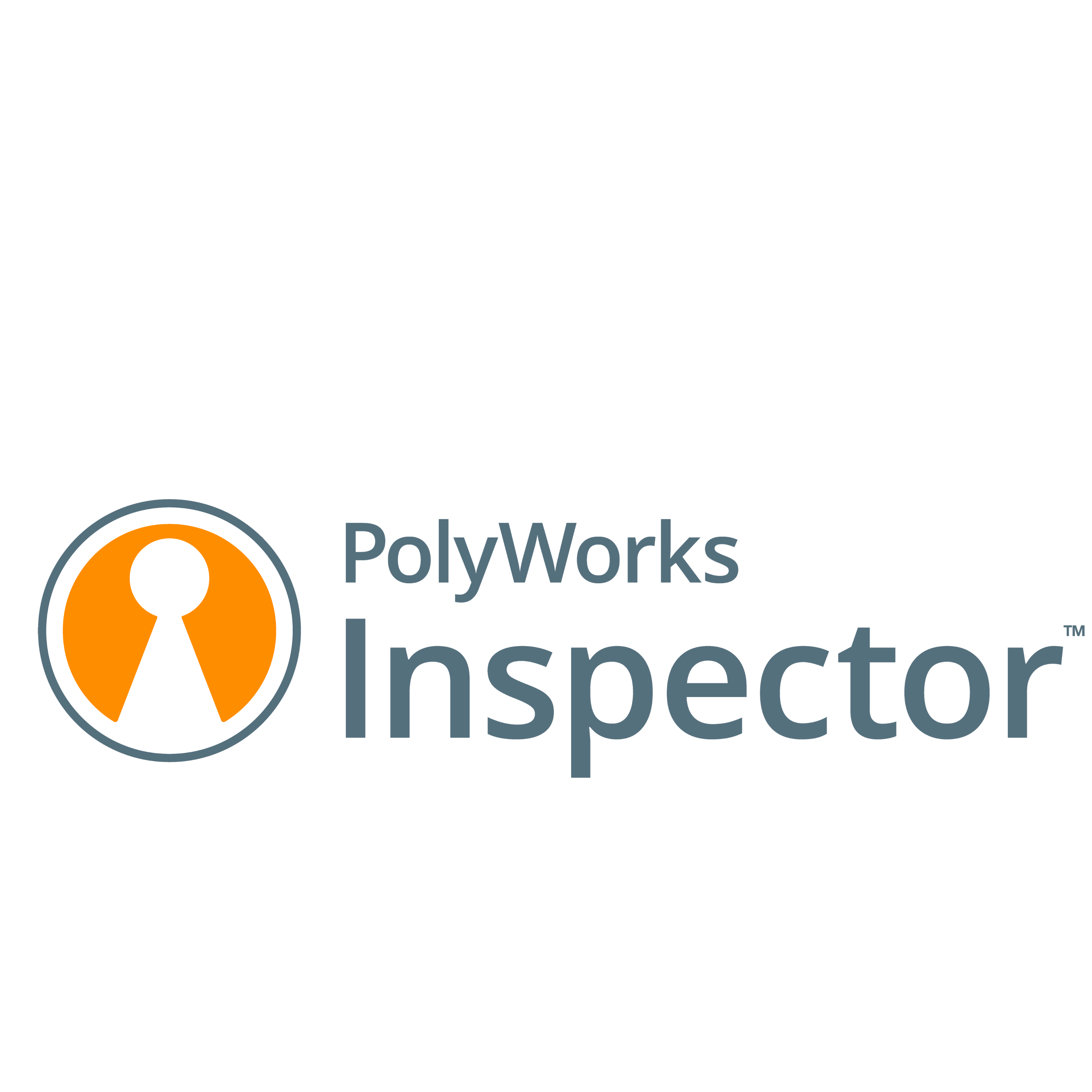 PolyWorks|Inspector™
