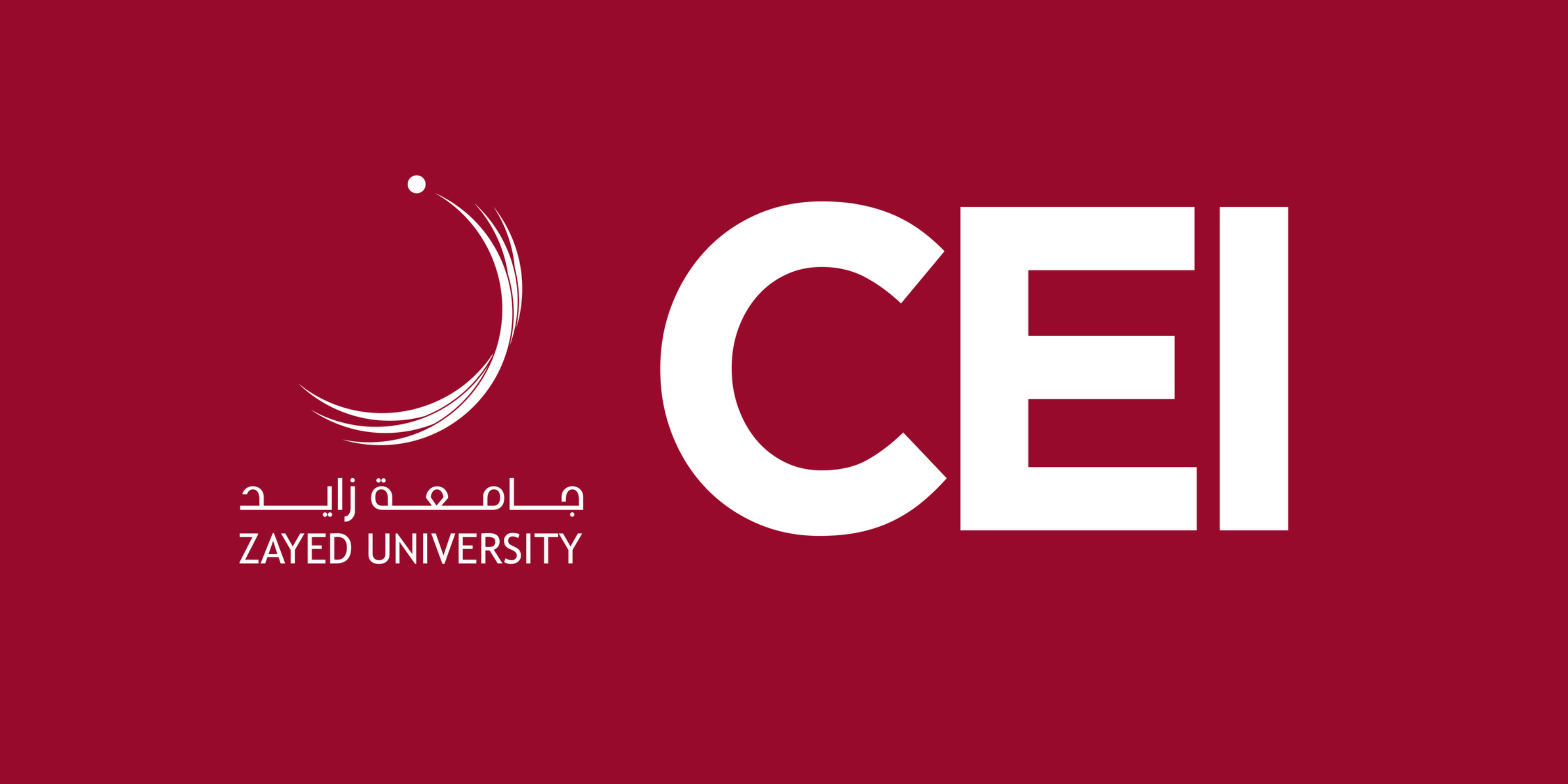 Center for Educational Innovation