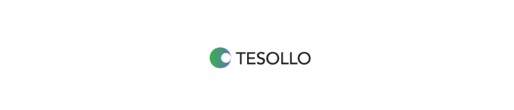 TESOLLO INC
