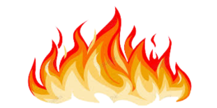 In Case of Evacuation