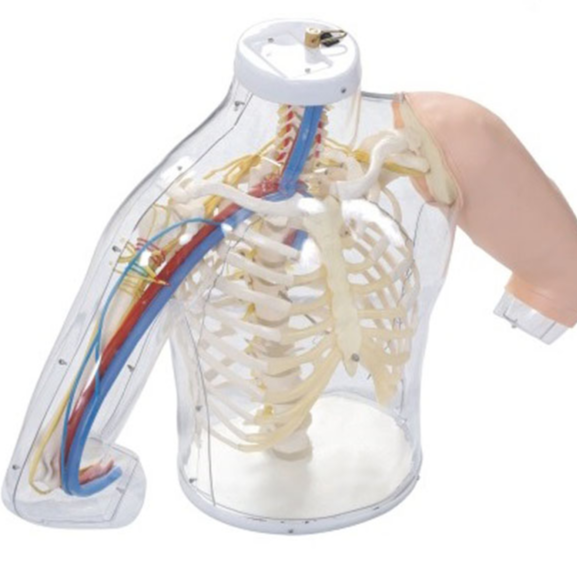 Injection Model