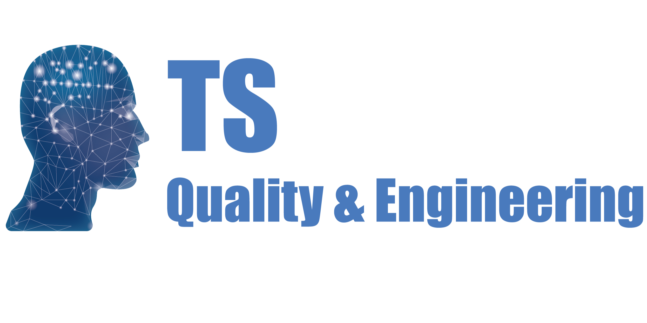 TS Quality & Engineering SRL