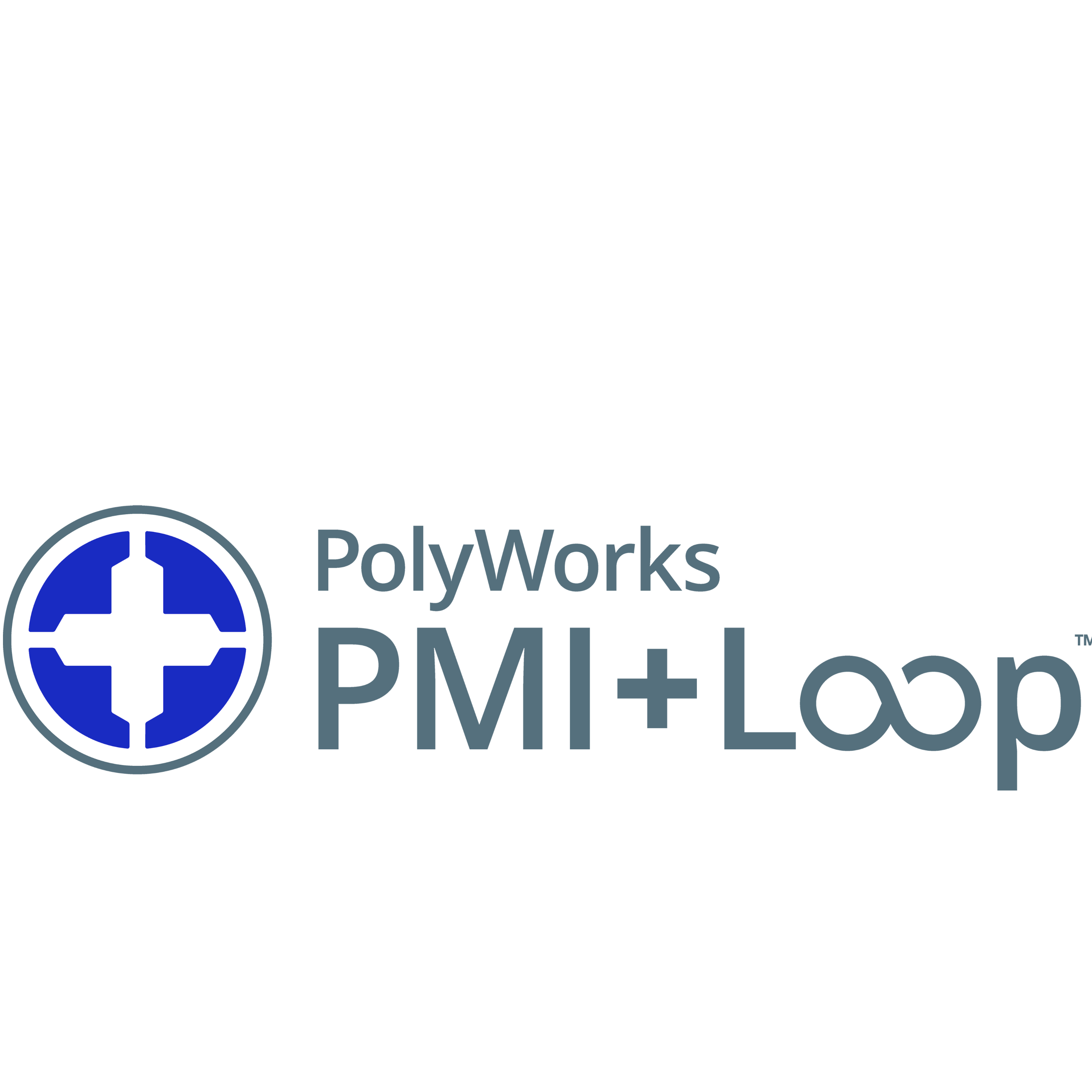 PolyWorks|PMI+Loop™