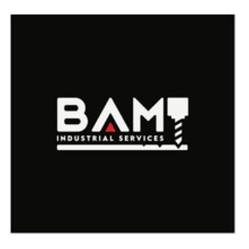 BAM Industrial Services Inc