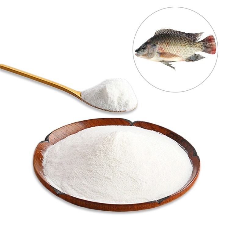 Fish Collagen Peptide