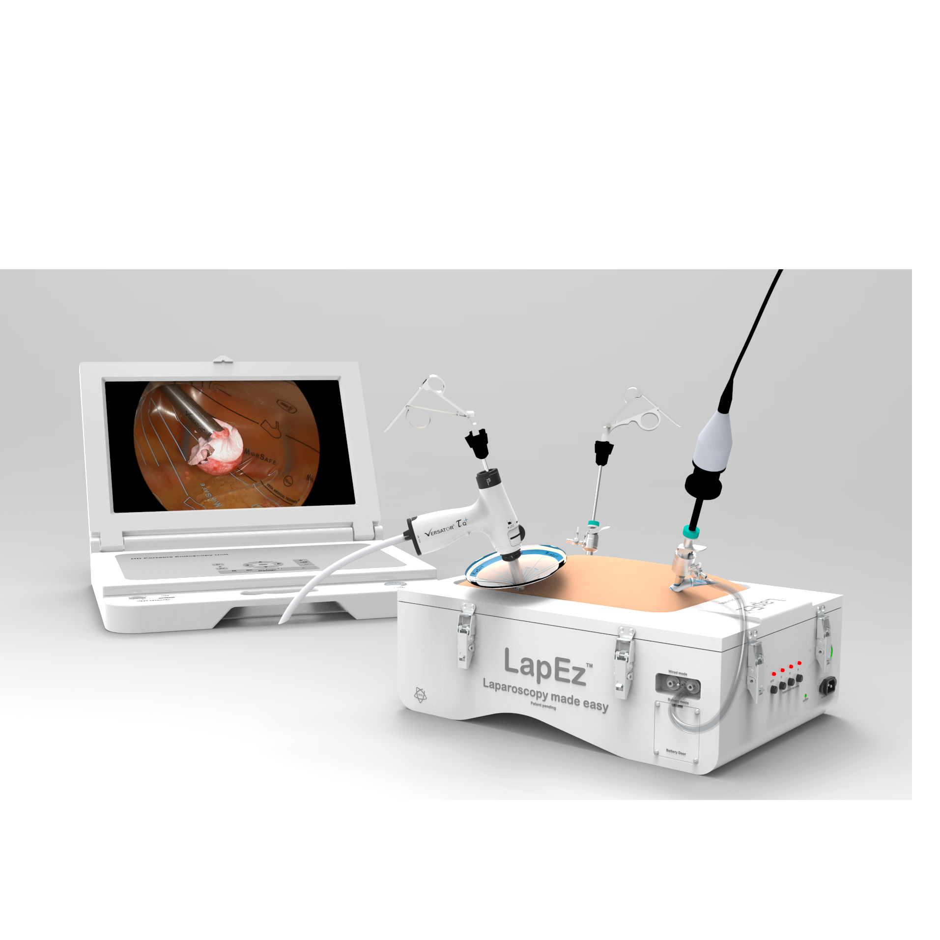 #LapEz Endotrainer