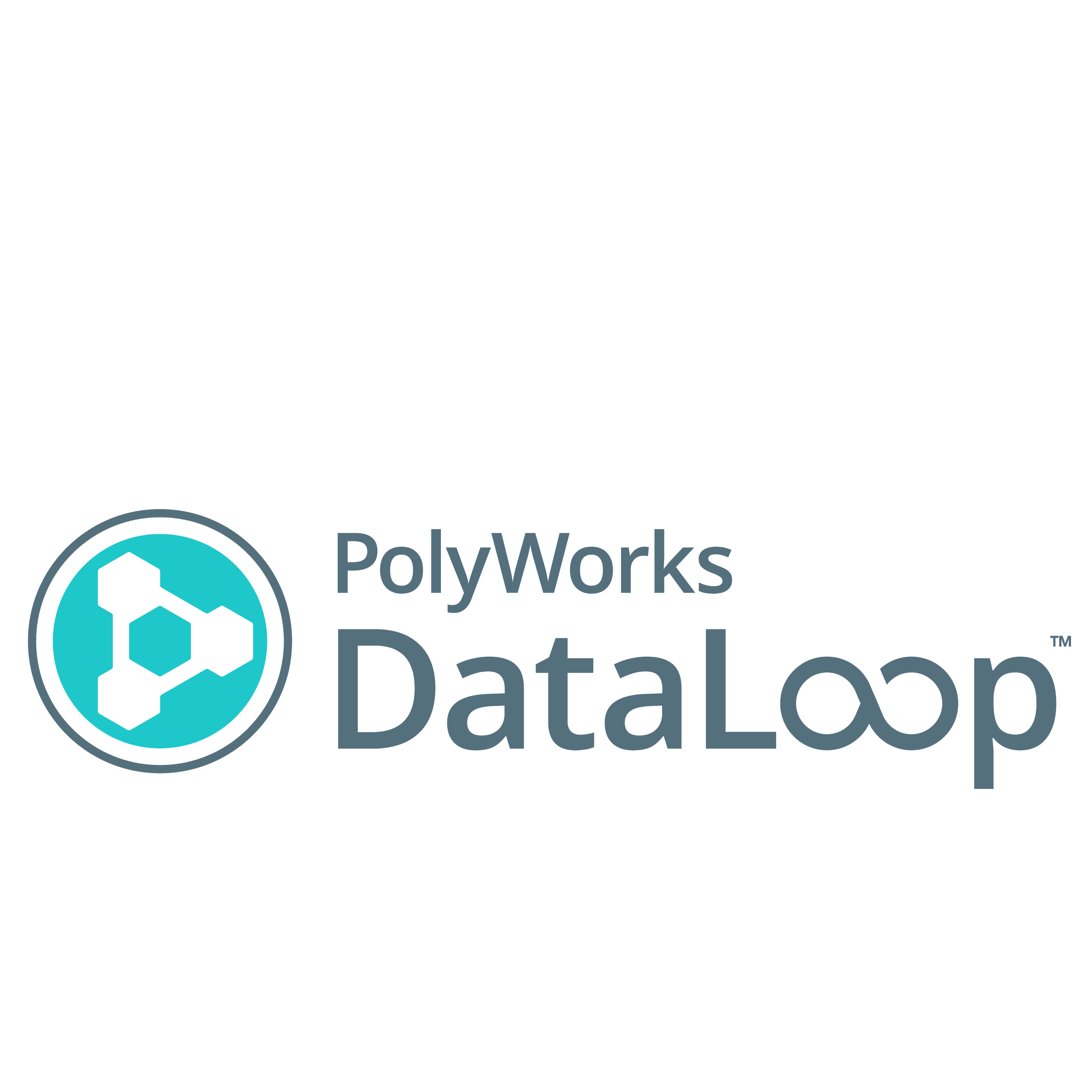 PolyWorks|DataLoop™