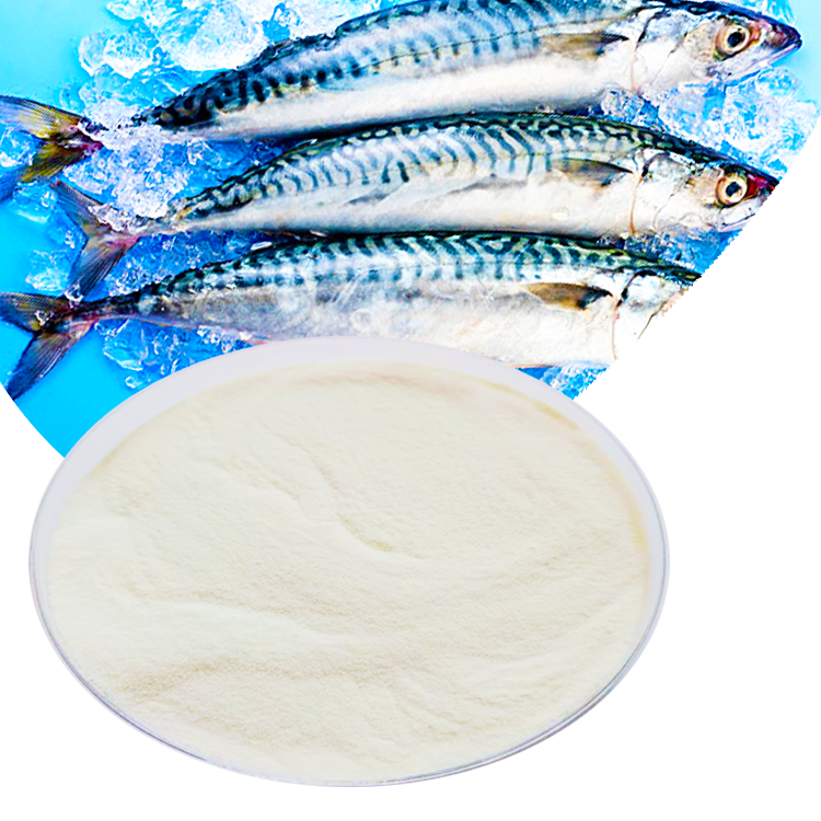 Collagen Tripeptide