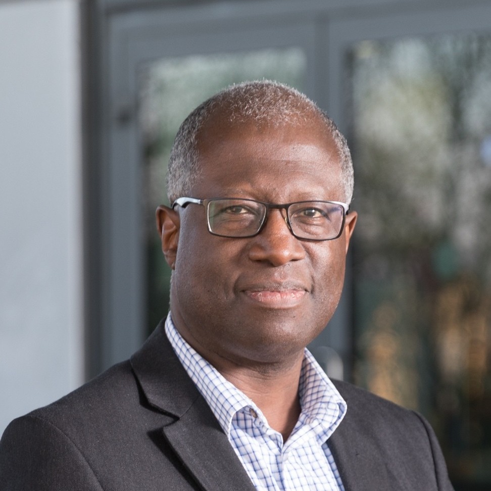 Frank Chinegwundoh