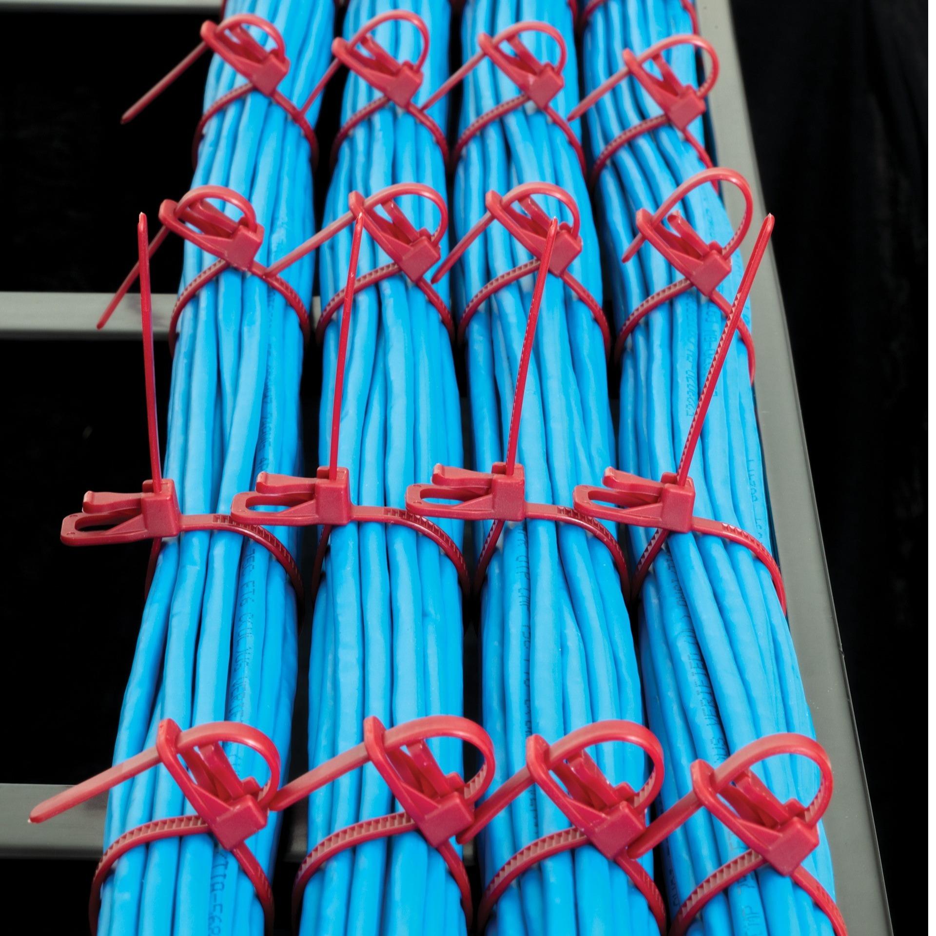 EveryTie Reusable and Releasable Ties from RETYZ (50 lbs)