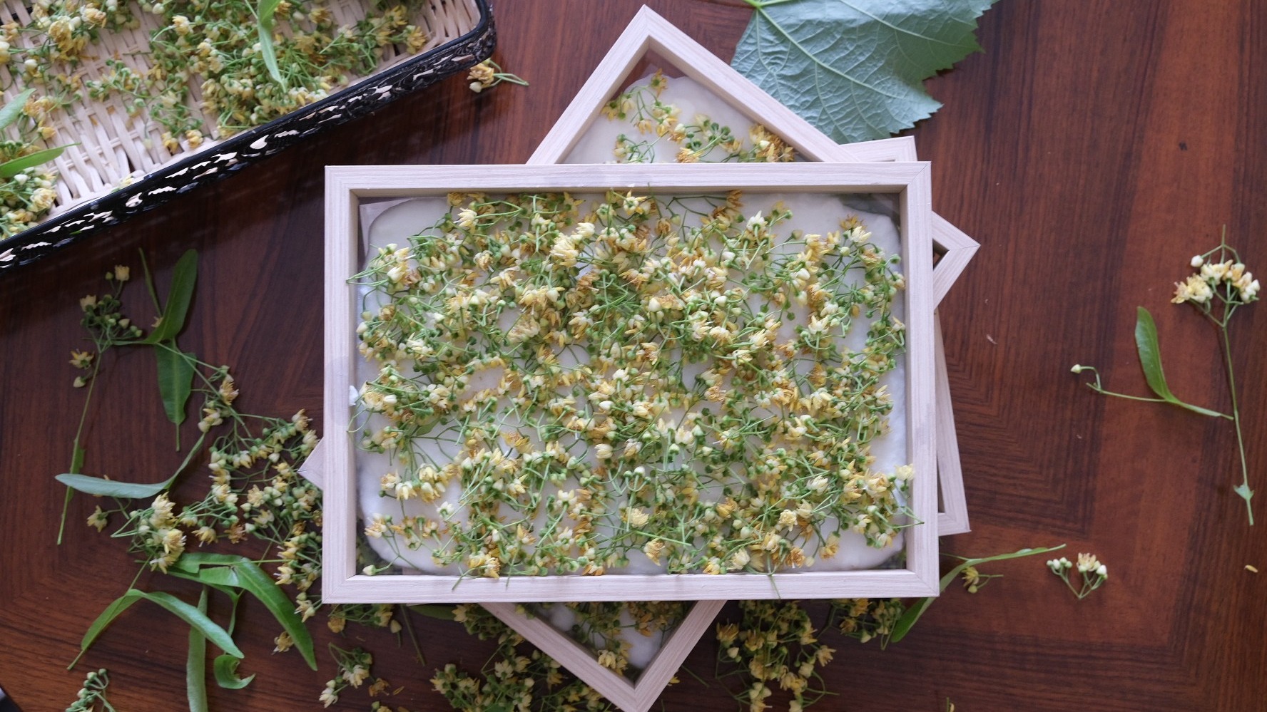 Enfleurage, Capturing the Ephemeral