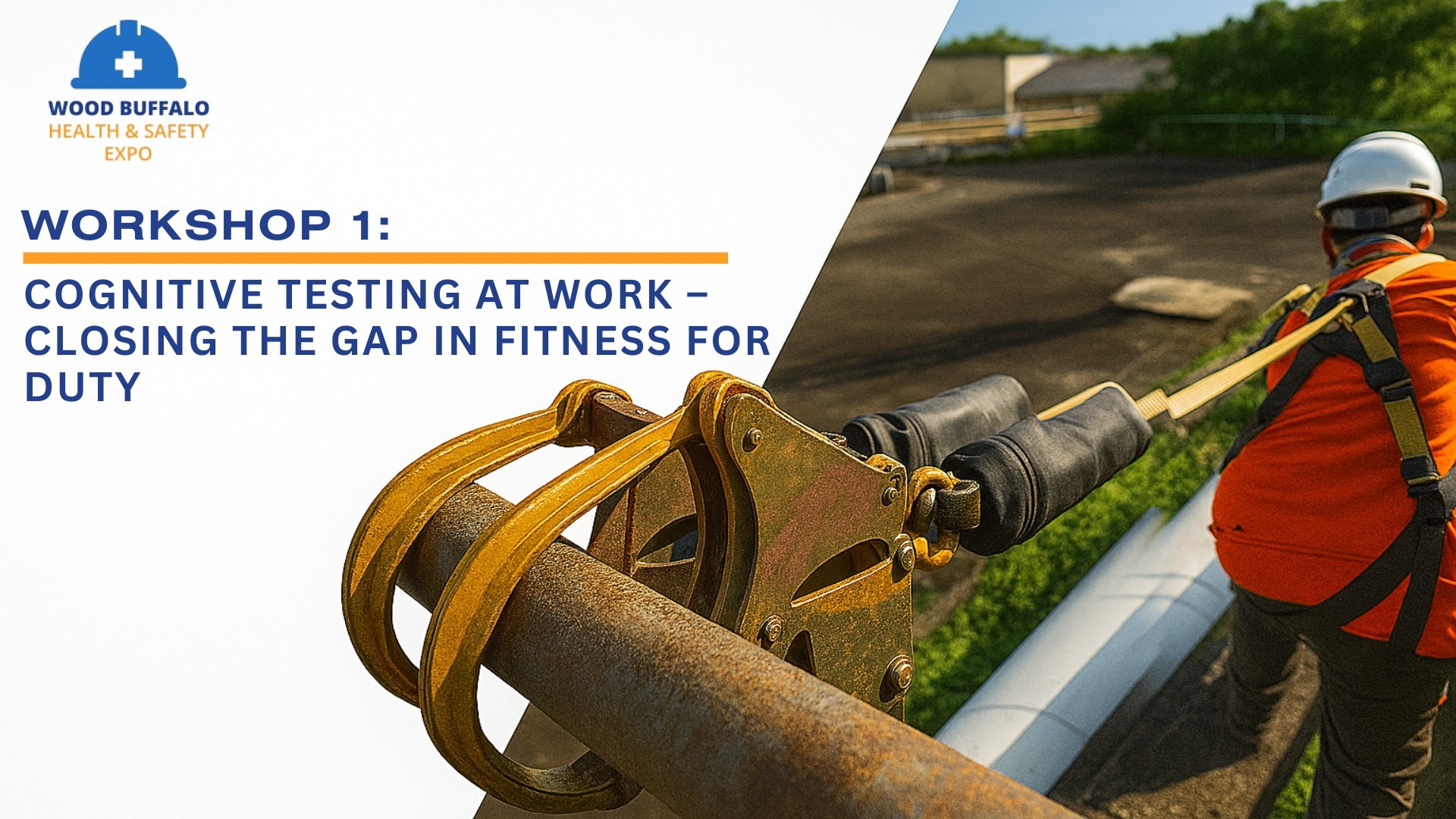 Workshop 1: Cognitive Testing at Work – Closing the Gap in Fitness for Duty