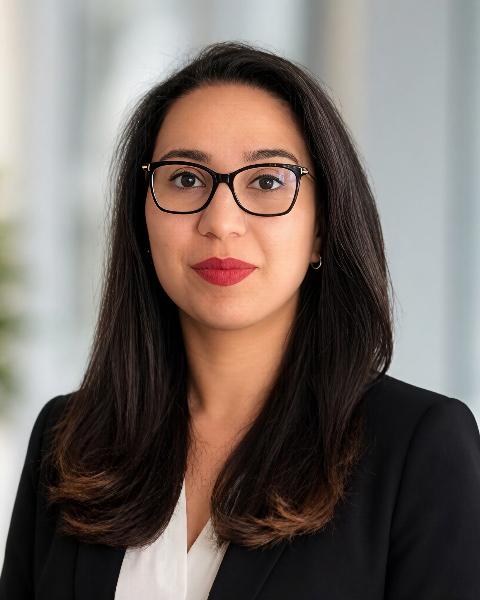 Hadis Bergman