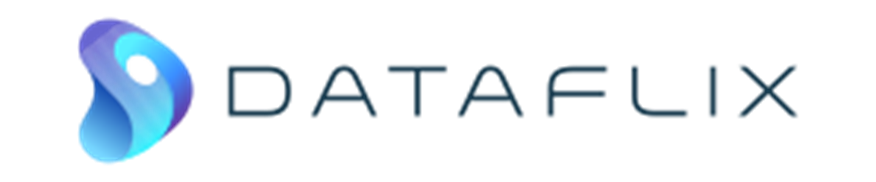 Dataflix logo