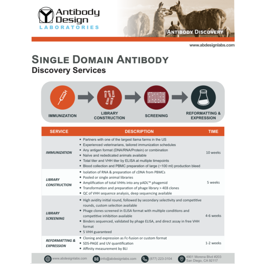 Single Domain Antibody - Discovery Services