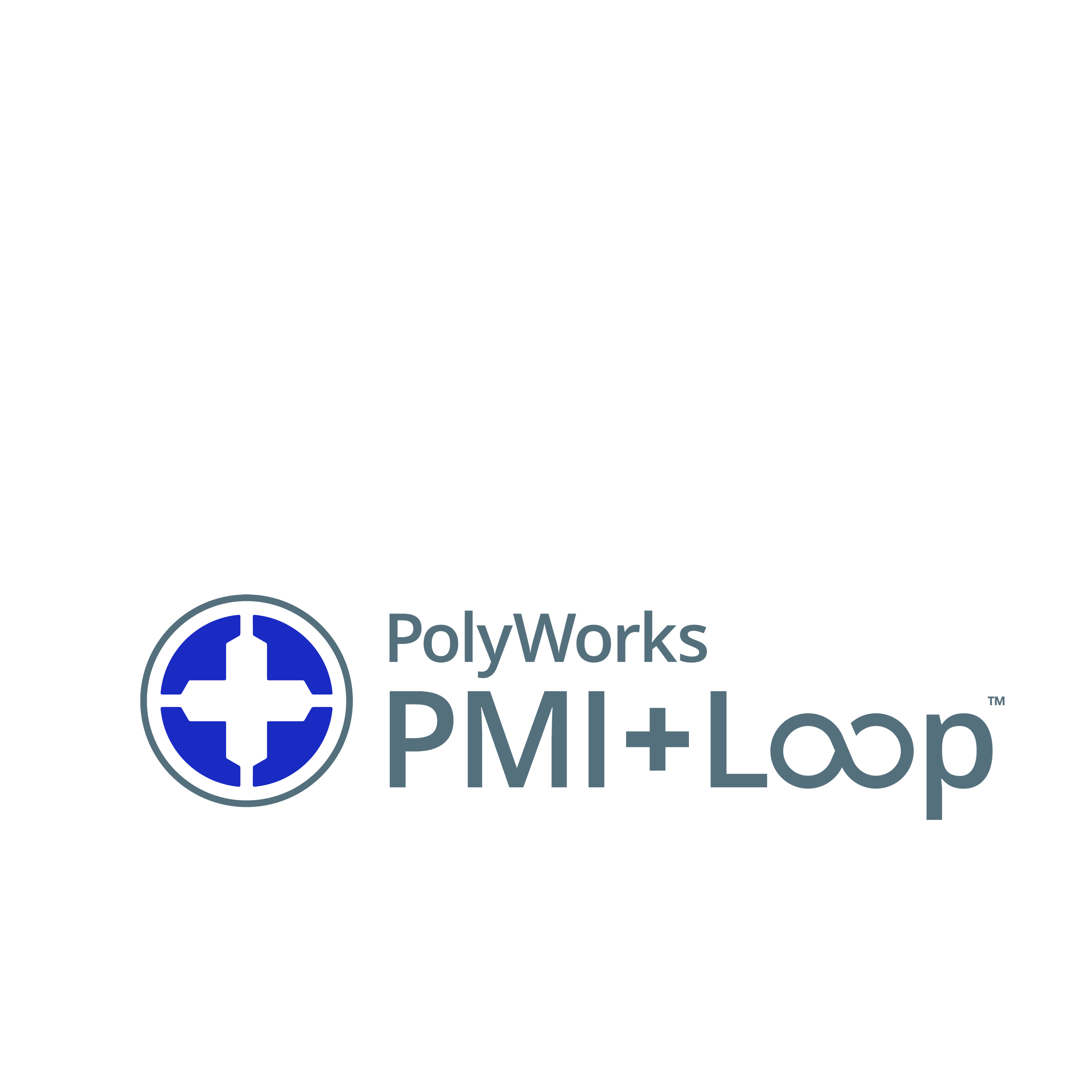 PolyWorks|PMI+Loop™