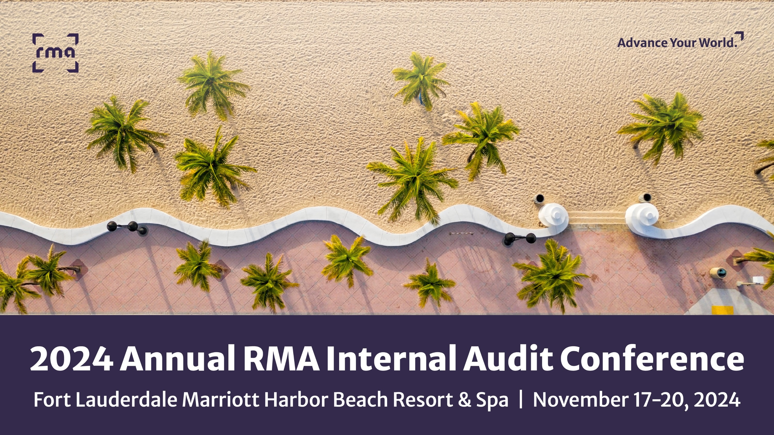 Chief Audit Executive Session - Elevating Internal Audit's Impact ...