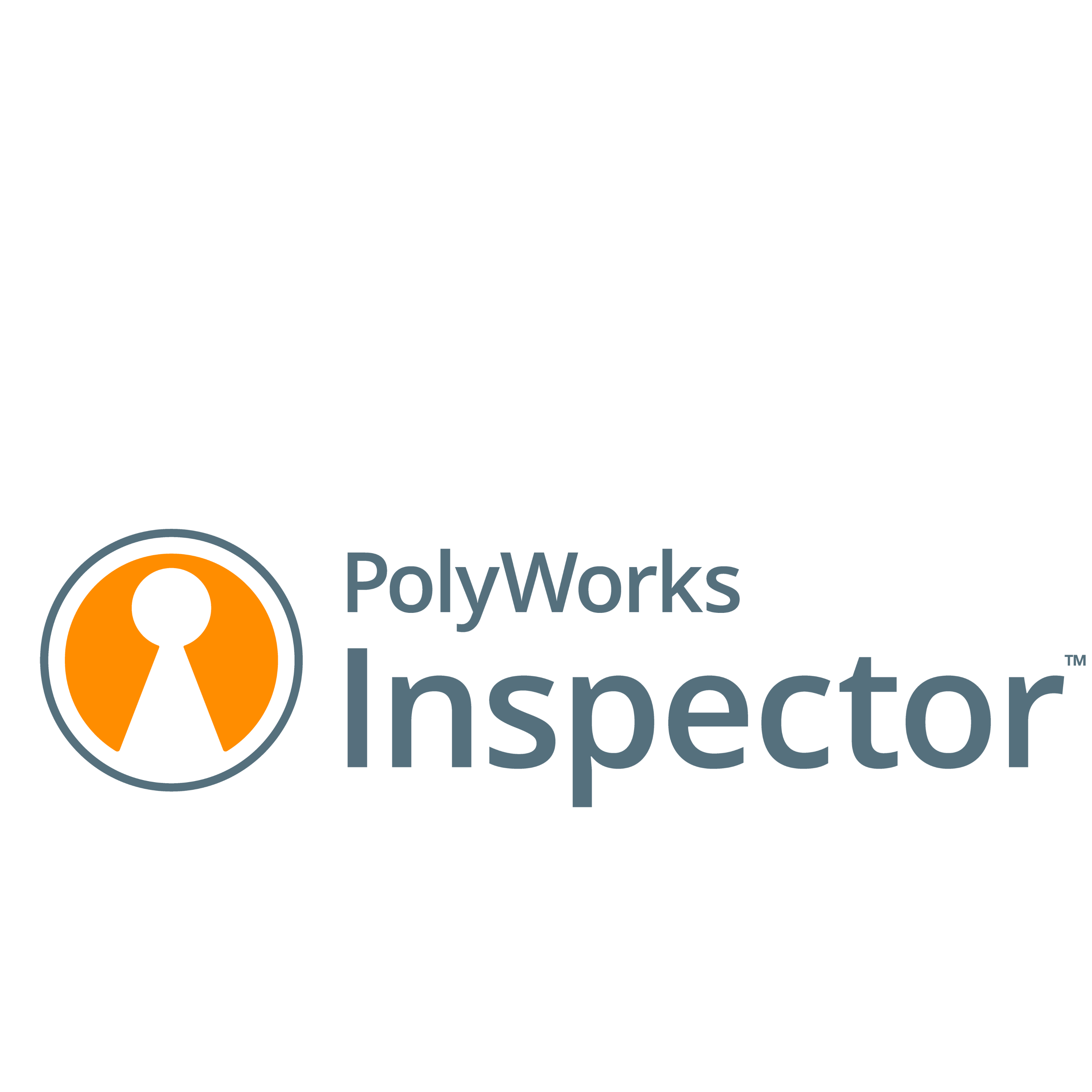 PolyWorks|Inspector™