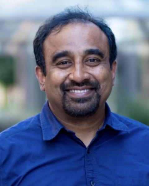 Bhaskar Roy